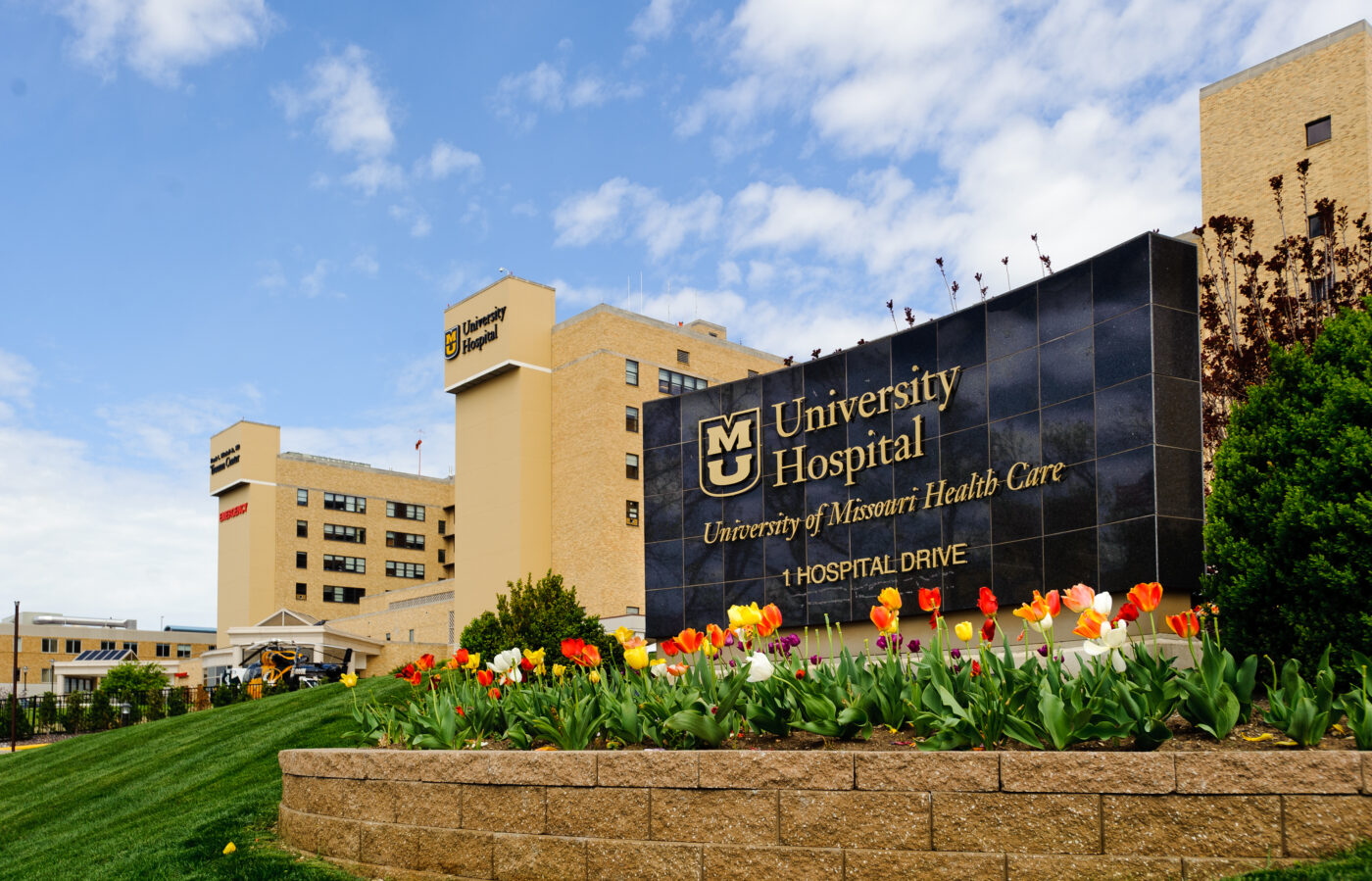 How to Get Into University of Missouri Medical School: The Definitive Guide (2024)